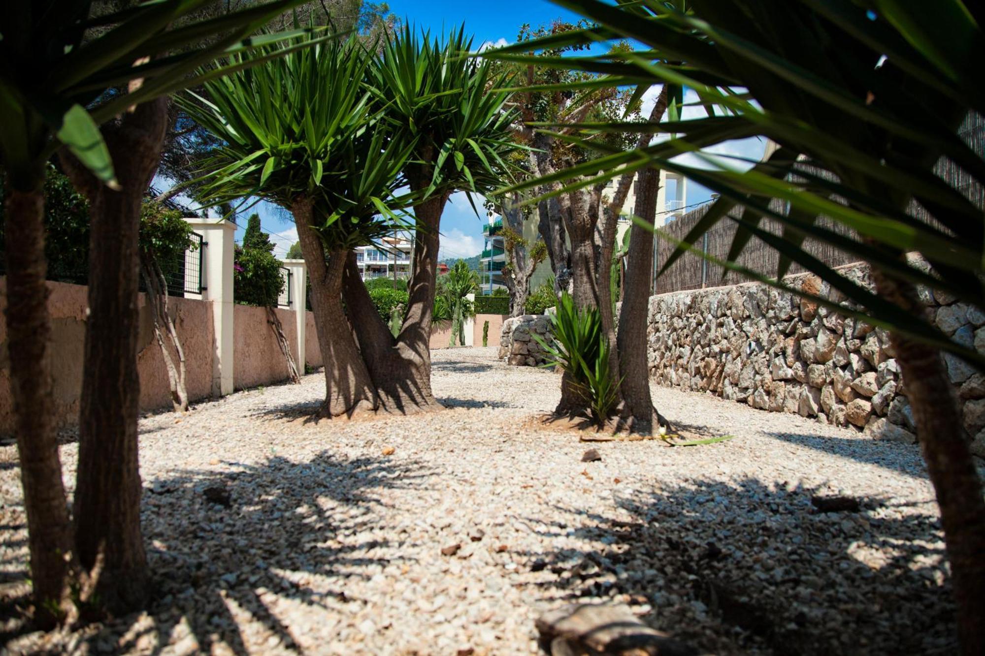 Naika Studios & Apartments Palma Nova (Mallorca) Exterior foto